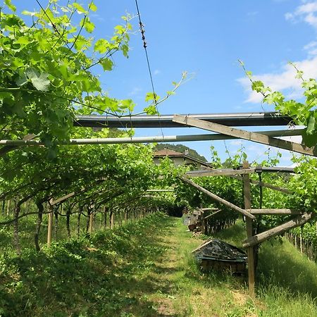 Ferienwohnung Wertischer Hof Tramin an der Weinstraße Exterior foto