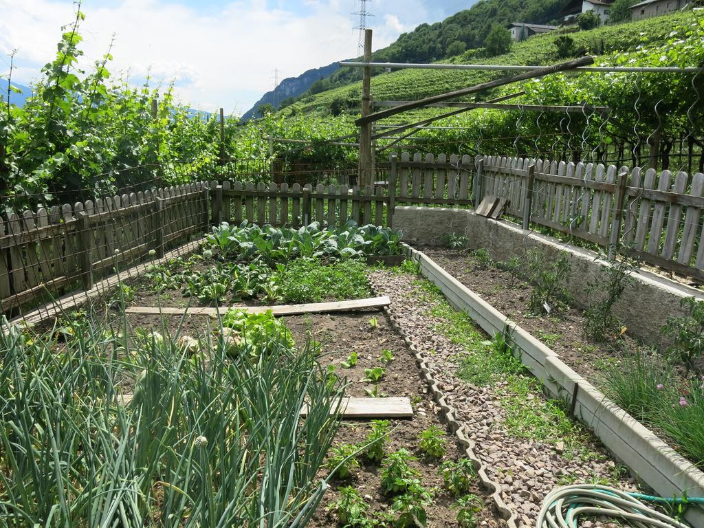 Ferienwohnung Wertischer Hof Tramin an der Weinstraße Exterior foto